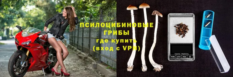 KRAKEN ссылка  Нолинск  Галлюциногенные грибы Cubensis 